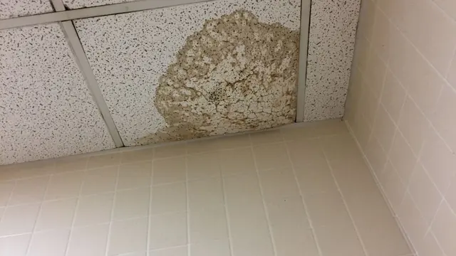 Water stain spreading across a stained ceiling tile in the corner of a room