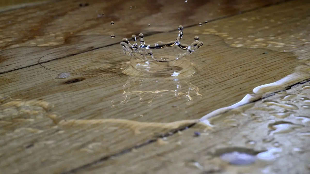 Water droplet on a wet wood floor with boards beginning to lift