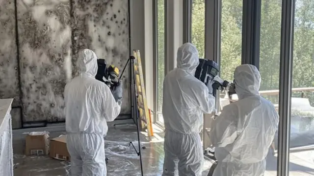 Crew in white protective suits working inside a room with mold on the walls