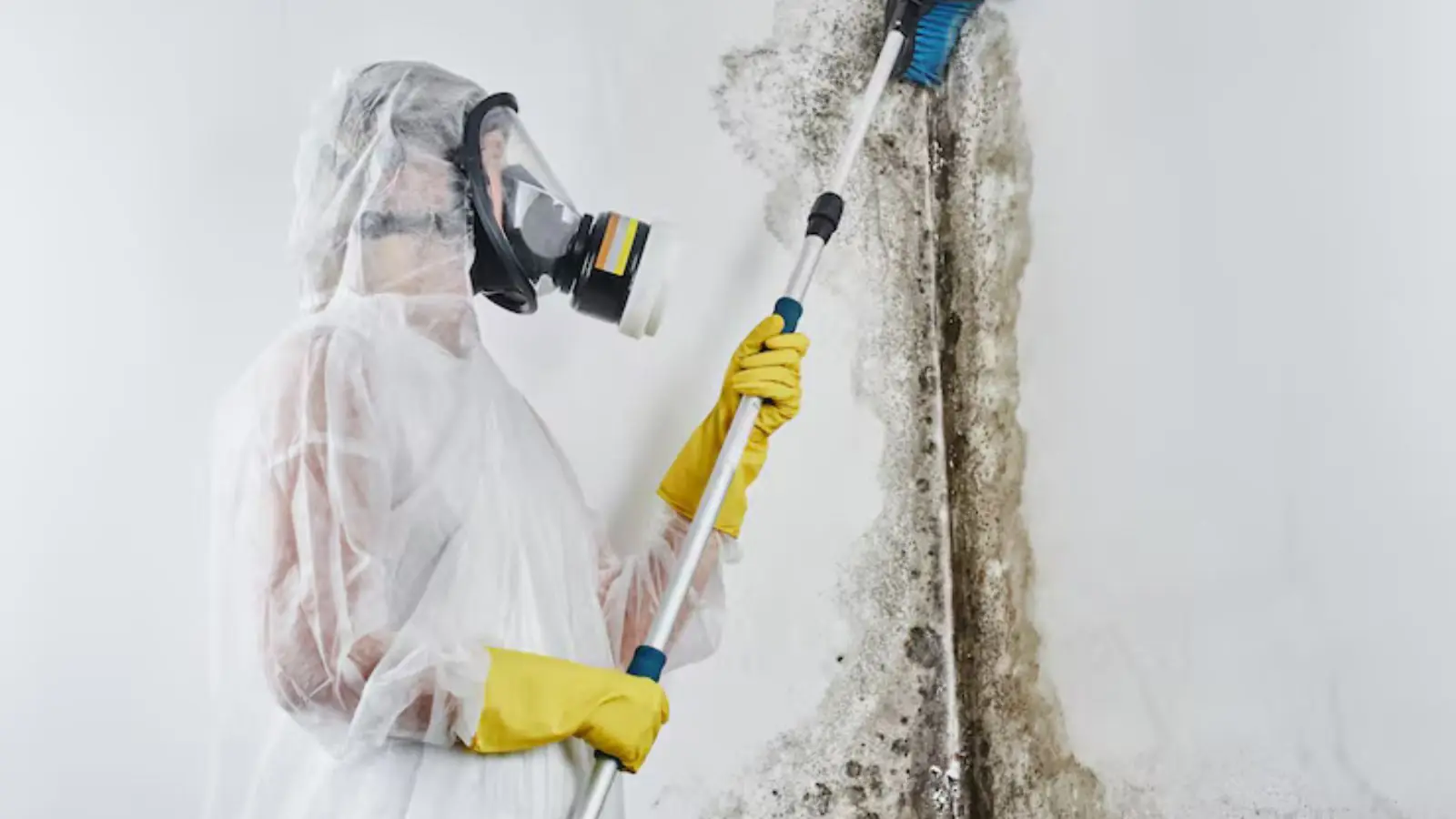 Technician in protective suit and respirator treating a mold-stained wall